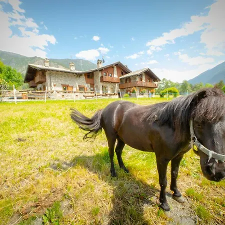 Bed & Breakfast Villamour Boutique & *