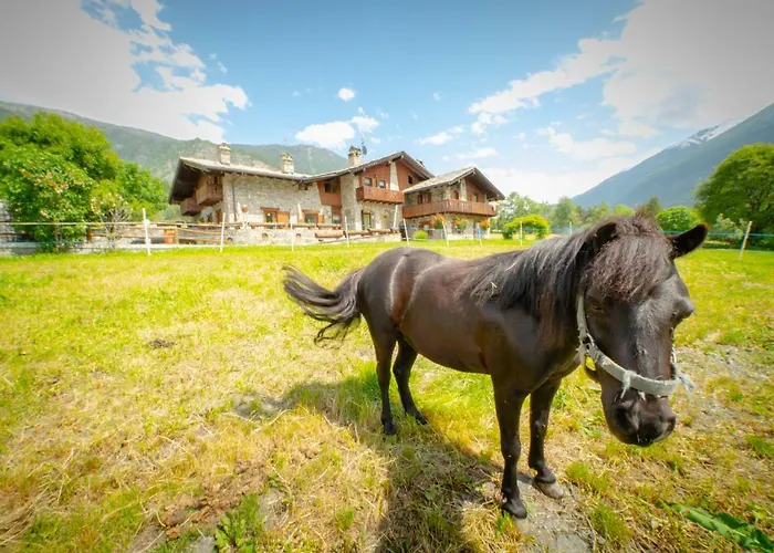 Hotel Villamour Boutique & 4*