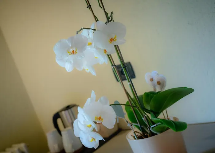 Villamour Boutique &