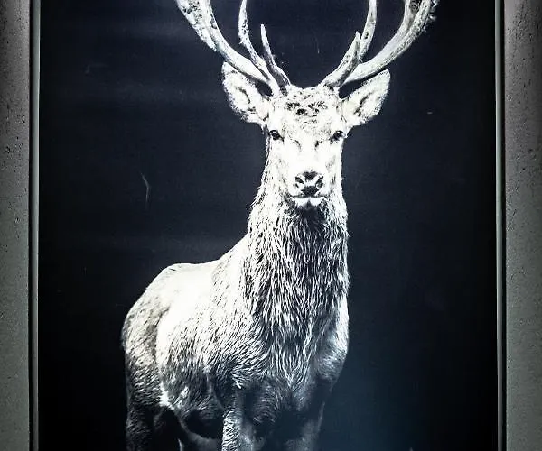 Villamour Boutique & La Salle